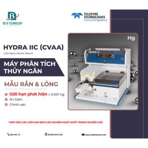 phan-tich-thuy-ngan-ran-long